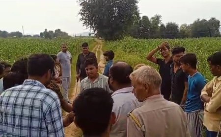 बाजरे के खेत में बाघ की मूवमेंट होने से ग्रामीणों में फैली दहशत