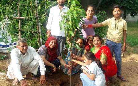 अमृता प्रकृति संवर्धन अभियान में रक्षाबंधन उत्सव मनाकर पौधारोपण