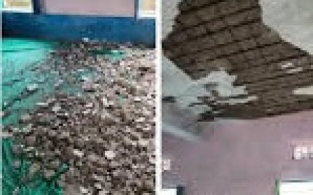 सरकारी स्कूल के एक कमरे मे चल रही 3 कक्षाए: छत का प्लास्टर गिरा: एक छात्रा और शारीरिक शिक्षक हुए घायल