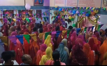 हीरवाना गौशाला में धूमधाम से मनाई गई कृष्ण जन्माष्टमी