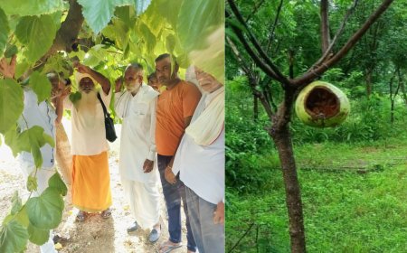 वन्य जीवों के बीना  जीवन अधूरा- देशपाल यादव