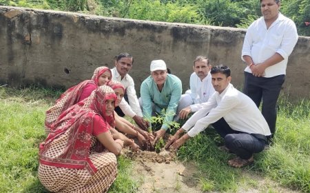 भाजपा के डॉक्टर श्याम सुंदर मीणा ने लगाए पौधे