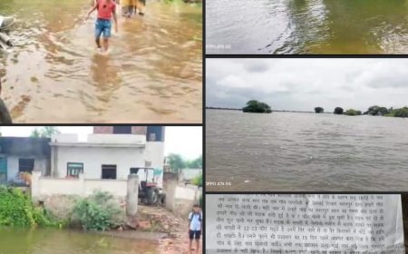 पिछले 20 दिनों से टापू बना कपरौली गांव: प्रशासन से करी नांव की मांग