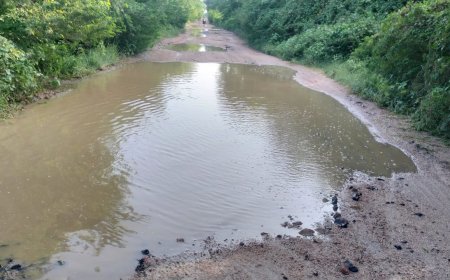 सड़क के क्षतिग्रस्त होने से राहगीर परेशान हरदम हादसे की आंशका