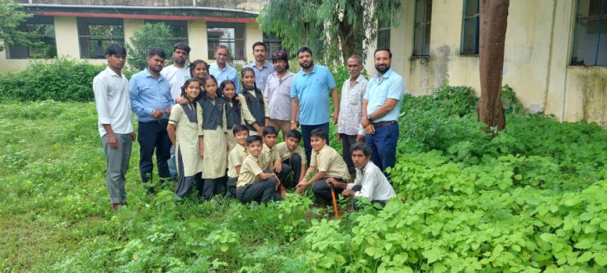 क्रिएटिव स्कूल के विद्यार्थियों ने किया वृक्षारोपण