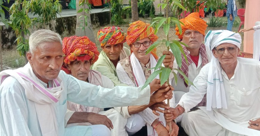 हरियाली अमावस्या के मौके पर हलकारा का बास में पौधारोपण कर लोगों को दिया पर्यावरण बचाने का संदेश