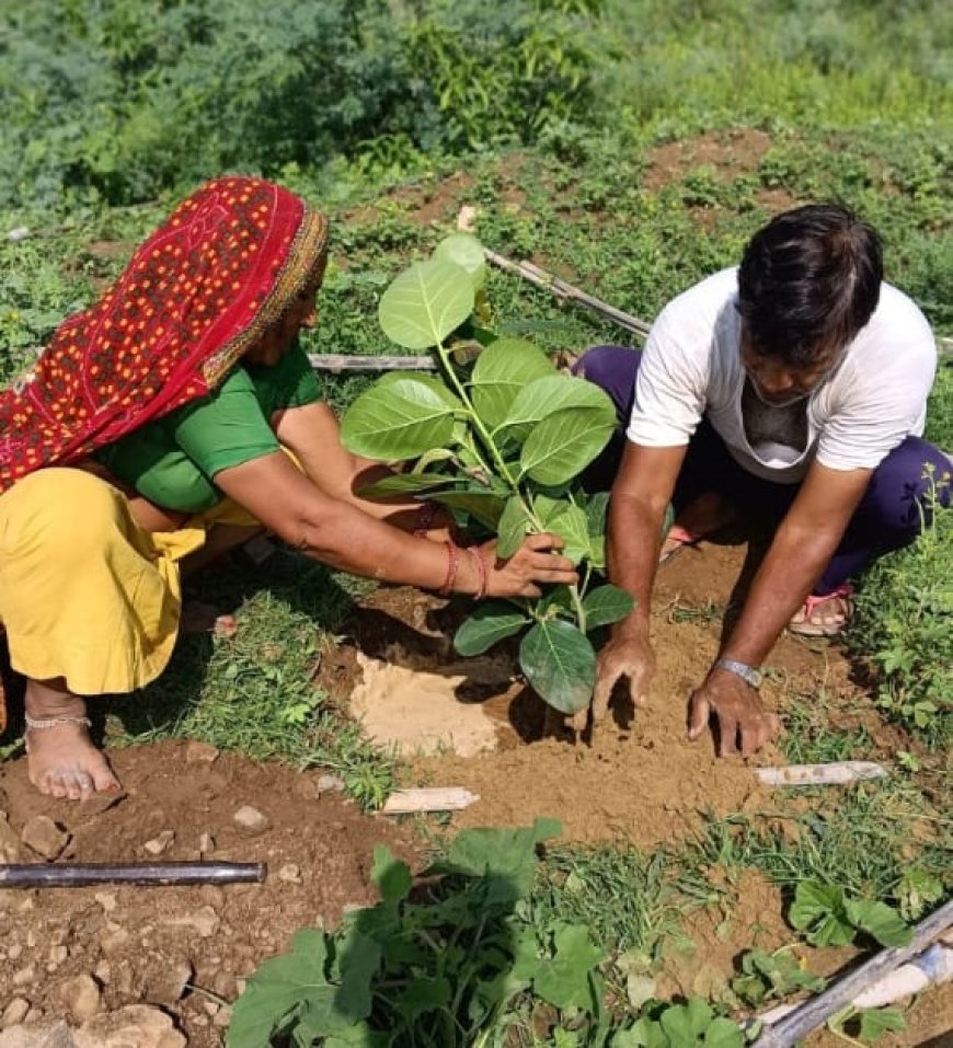 तीज्या वाले जोहड़ पर बरगद का पेड़ लगाकर रोज पानी डालने का लिया संकल्प-  सैनी