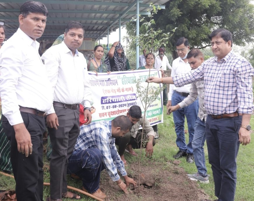 हरियालों राजस्थान कार्यक्रम तीज के रंग पेड़ के संग थीम पर कलक्टर ने कुराड़िया मे किया पोधारोपण