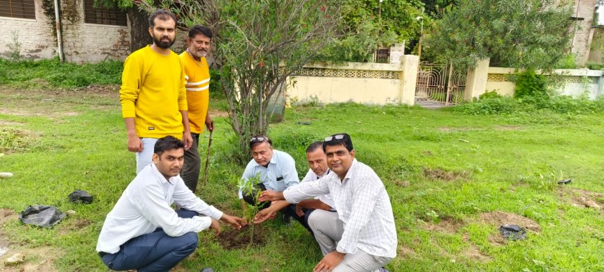 सामुदायिक स्वास्थ्य केन्द्र तखतगढ़ में पौधरोपण कार्यक्रम आयोजित