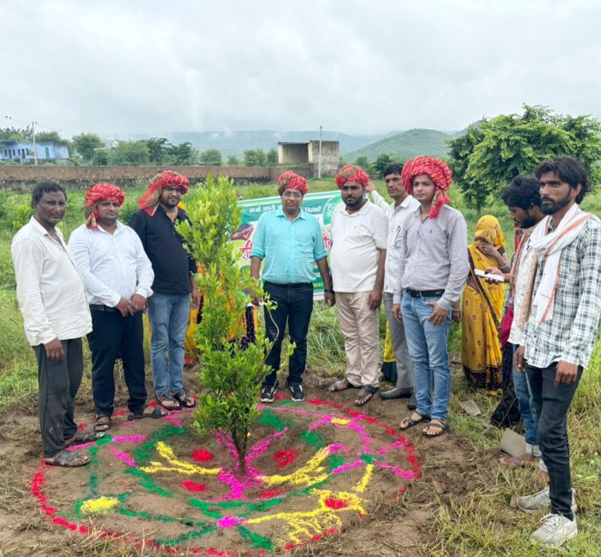 विकास अधिकारी ने बीधोता में नवग्रह वाटिका में पौधरोपण कर लोगों को दिया पर्यावरण संरक्षण का संदेश