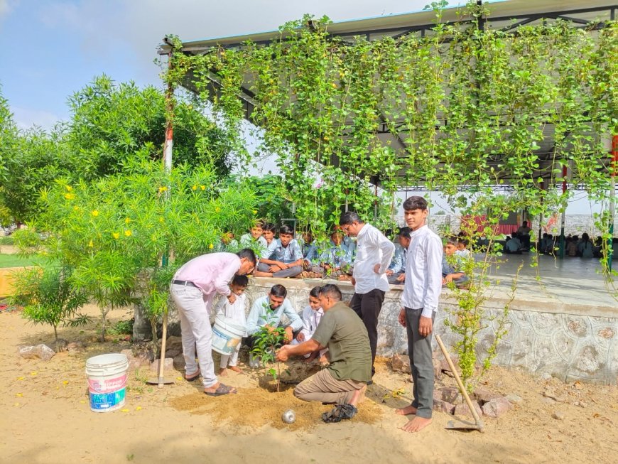 विद्यार्थी ने जन्मदिन पर विद्यालय परिसर में पौधारोपण कर दिया पर्यावरण संरक्षण का संदेश