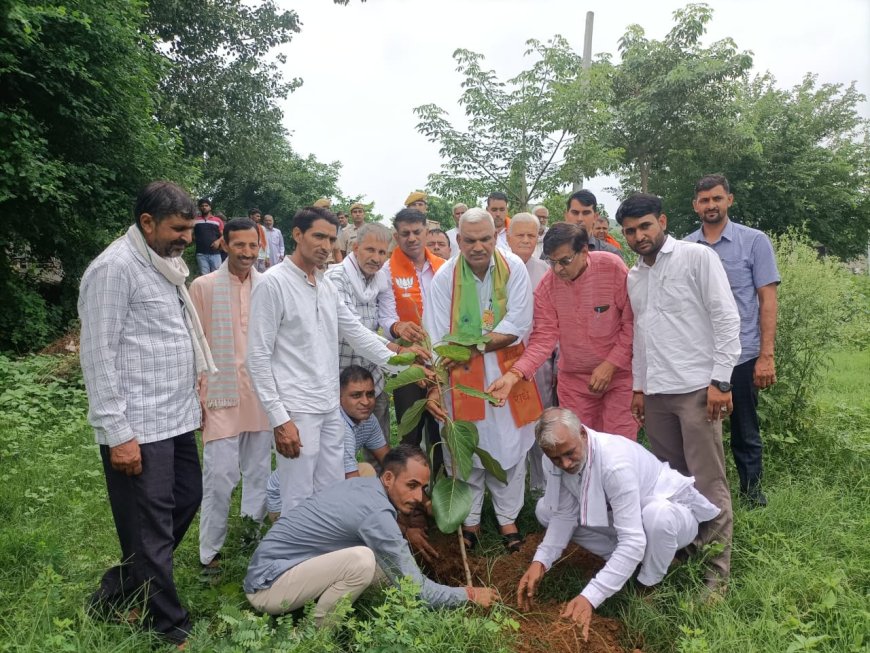 गौसंवर्धन एवं संरक्षण में मोनी बाबा गौशाला कर रही बेहतरीन कार्य -जवाहर सिंह बेढम