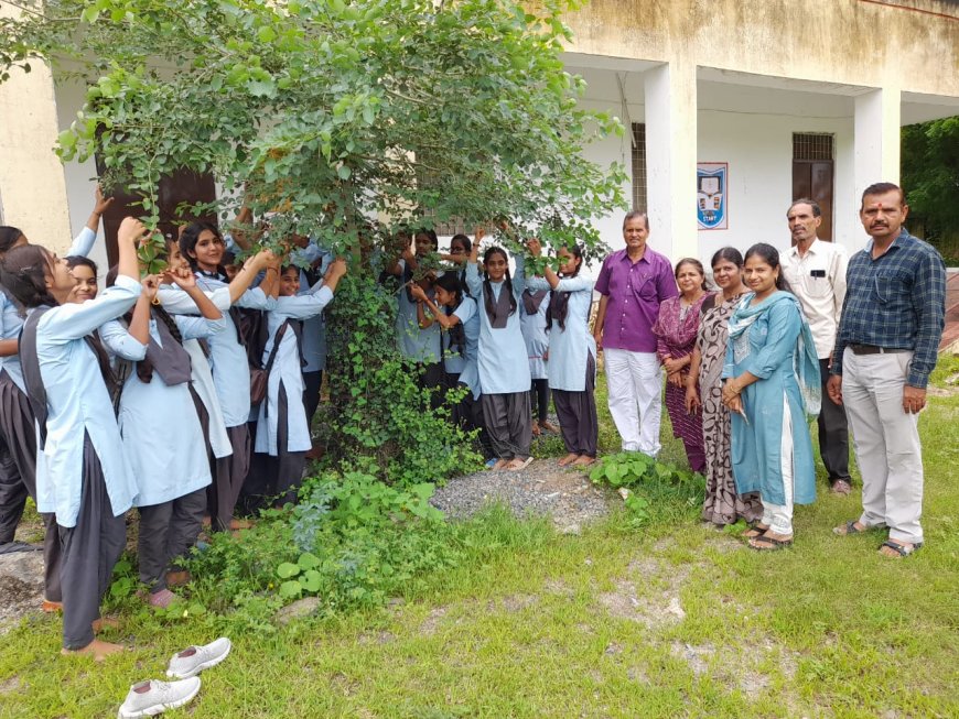 पेड़ों पर राखी बांधकर उनकी रक्षा का लिया संकल्प