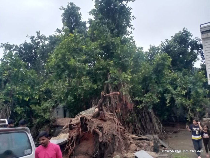 तीन सौ साल पुराना बरगद का पेड़ गिरा, चार मकान हुए क्षतिग्रस्त