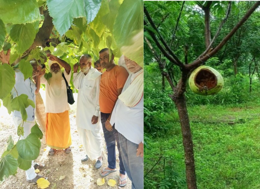 वन्य जीवों के बीना  जीवन अधूरा- देशपाल यादव