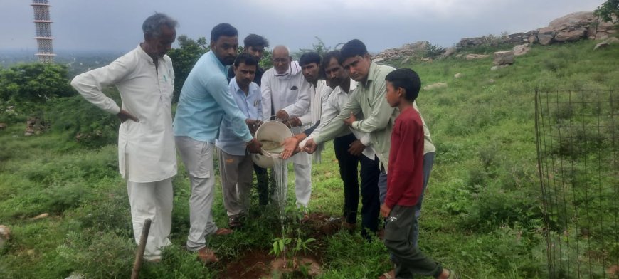 पचलंगी में पौधारोपण कर पर्यावरण संरक्षण का लिया जिम्मा