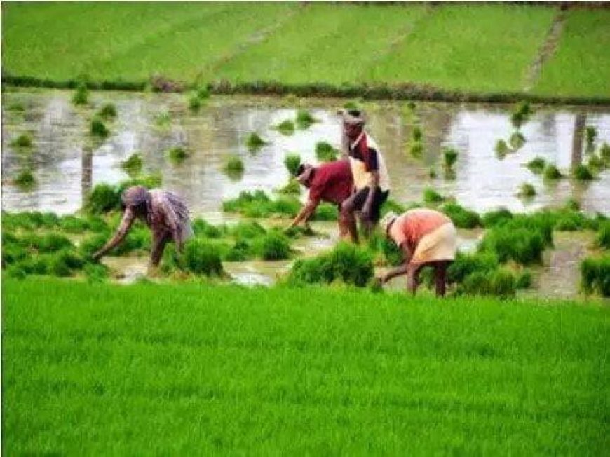 कृषि उन्नति योजना में मिलेंगे कृषको पचास हजार रुपए