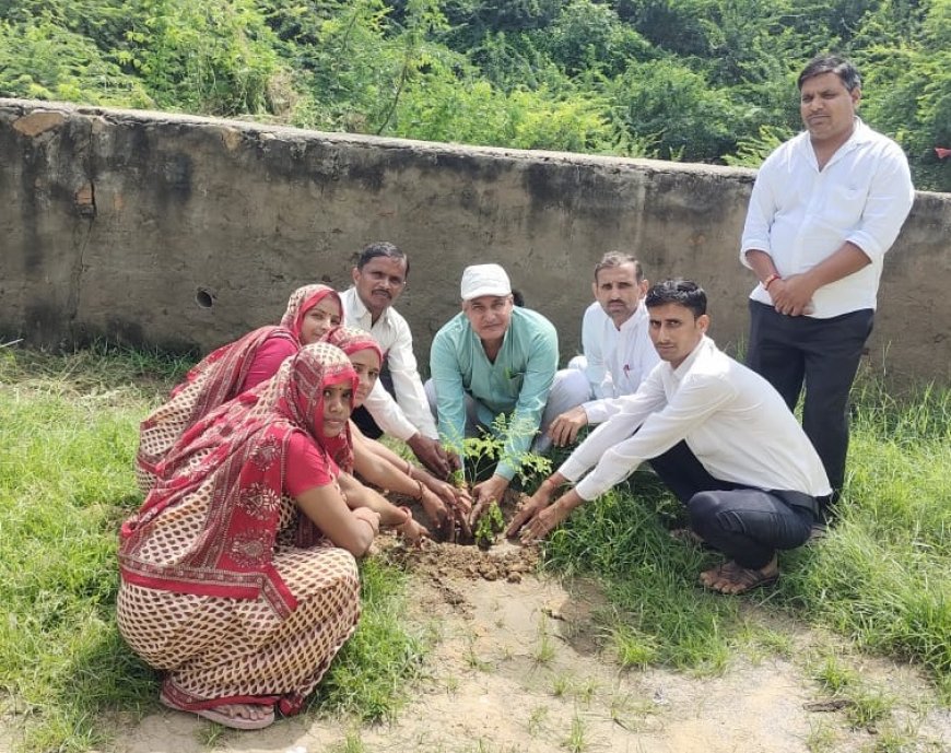 भाजपा के डॉक्टर श्याम सुंदर मीणा ने लगाए पौधे