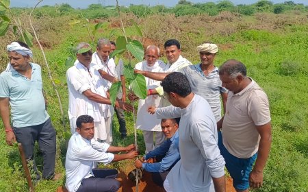 झडाया नगर के पास गोचर भूमि में अपने पूर्वजों की यादगार में लगाए 150 पेड़