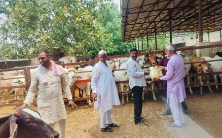 गोपालन मंत्री का गौसवामणी कर मनाया जन्मदिन