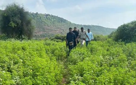 जमीनी विवाद को लेकर दो पक्षों में झगडडे मे हुई फायरिंग: गाँव मे पुलिसकर्मी और क्यूआरटी तैनात