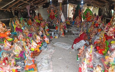 पर्यावरण संरक्षण के अनुकूल हो गणेश जी की प्रतिमाएं ,सनातन धर्म और संस्कृति में पर्यावरण संरक्षण व जीवों का रखें ध्यान- राव