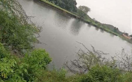 ऐतिहासिक साबोला बांध में करीब दो दशक से अधिक समय बाद आया पानी