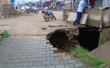 क्षतिग्रस्त सड़क व नाले को ठीक कराने के लिए सौंपा ज्ञापन