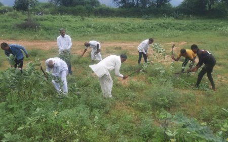 पचलंगी में गांधी जयंती पर आयोजित होने वाले मातेश्वरी कुश्ती दंगल स्थल पर मेला कमेटी के सदस्यों ने किया श्रमदान