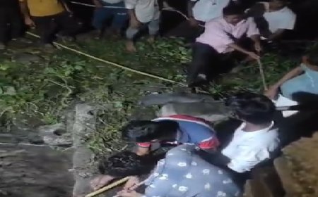 मृत गौवंश को निकाला कुए से बाहर