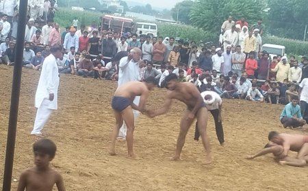 हनुमान जी महाराज का मेला: कुश्ती दंगल में समर्थकों ने बढ़ाया पहलवानों का हौसला