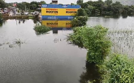 साबोला बांध में पानी की आवक बढ़ी परिक्षेत्र में बसी कालोनी सहित अन्य स्थानों पर भरा पानी,भूमाफियाओं द्वारा अवैध रूप से भराव क्षेत्र में प्लाटिंग