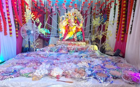 गणेश महोत्सव पर सजाई 56 भोग की झांकियां