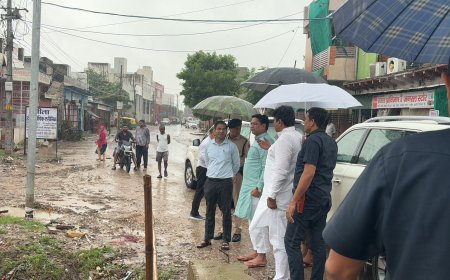 जिला प्रभारी मंत्री ने शहर में जलभराव वाले स्थानों का किया निरीक्षण