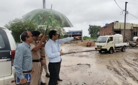 जिला कलक्टर ने जलभराव क्षेत्रों का निरीक्षण कर पानी निकासी के संसाधन बढवाये