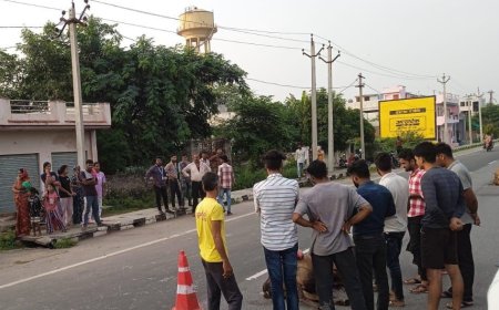 ट्रक की चपेट में आने से दो गायों की मौत, एक घायल