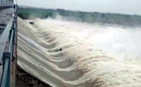 ग्राम पंचायत गोपालपुरा में हर्षोल्लास से मनाया जाएगा जिला स्तरीय जल महोत्सव