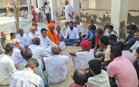 पालड़ीजाेड़ गांव में रामदेवजी मंदिर शिखर पर पूर्व प्रधान मेवाड़ा ने ध्वजा चढाई