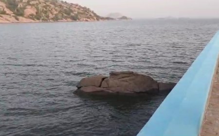 पश्चिमी राजस्थान जंवाई बांध ने लगाई अर्धशतक ज़िले के 44 में से 28 बांध हुए ओवरफ्लो