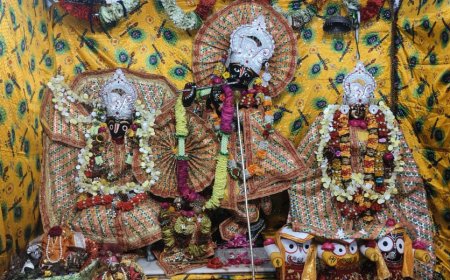 जलझूलनी एकादशी पर्व पर किया मंदिरों में भगवान का आकर्षण क्षृंगार