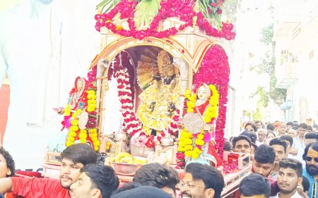 भगवान चारभुजा की निकली भव्य रेवाड़ी