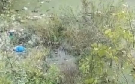 जलझूलनी एकादशी पर नगर भ्रमण एवं जलविहार को निकले ठाकुर जी:  प्रताप नहर में दुर्गंध युक्त गंदगी होने से नहीं कर सके जलविहार, नागरिकों ने जताई नाराजगी