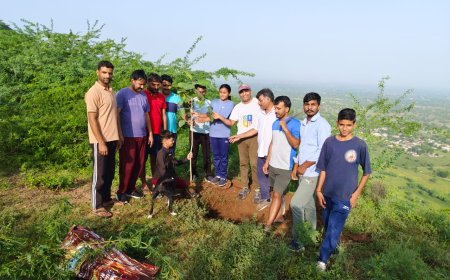अरावली पर्वतमाला की 300 मीटर ऊंची चोटी पर किया वृक्षारोपण
