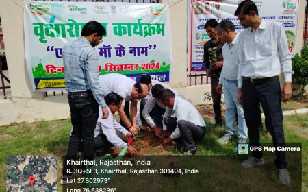 ‘स्वच्छता ही सेवा’ पखवाड़ा की हुई शुरूआत:  जिला कलेक्टर परिसर में जिला कलेक्टर ने "एक पेड़ मां के नाम" किया पौधारोपण