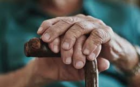 वृद्धजन कल्याण क्षेत्र में सम्मान हेतु 20 सितम्बर तक प्र्रस्ताव आमंत्रित