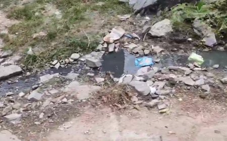 नालीयो के अभाव में सड़कों पर गन्दा पानी, मौसमी बीमारीयों का का खतरा: नगर पालिका का स्वच्छता अभियान का खिलवाड़