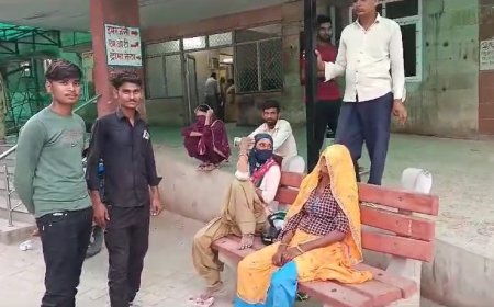 सियार ने बाईक पर बैठी महिला को किया गंभीर रूप से घायल