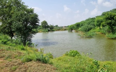 जोहड़ सौंदर्यकरण  की मांग का कलक्टर को भेजा पत्र