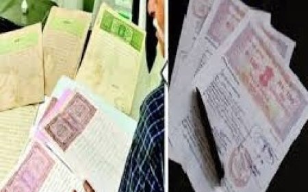 पट्टों की फाइल नहीं रोक सकेंगे मेयर -सभापति और चैयरमेन: 15 दिन में करने होंगे साइन, पट्टे धारक की लगाई जाएगी फोटो