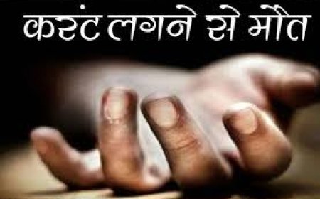 11 केवी का तार टूटकर गिरा, एक युवक की मौत:वैर के मुहारी में घरों में दौड़ा करंट